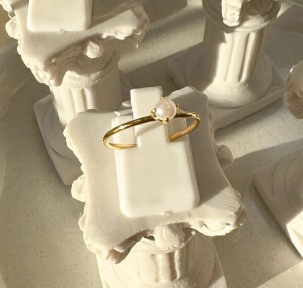 Anillo 1