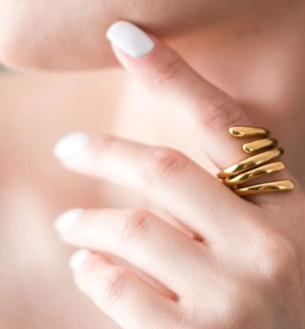 Anillo 2